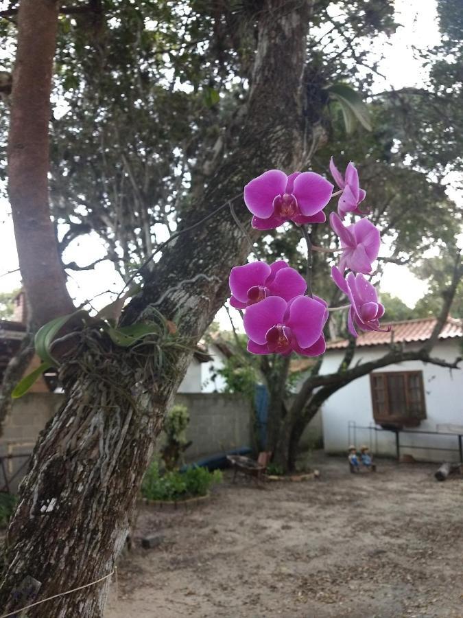 Casa Das Orquideas Арраял-ду-Кабу Екстер'єр фото